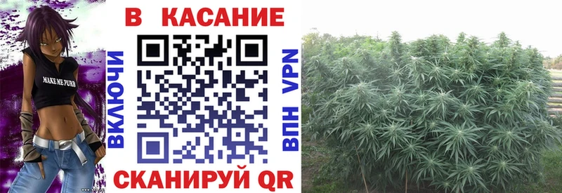 Наркотические вещества Светлоград Канабис  COCAIN  ГАШИШ  Альфа ПВП  МЕФ 