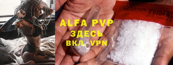 гидра Арсеньев