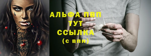 мяу мяу мука Аркадак