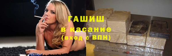 гидра Арсеньев