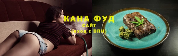 гидра Арсеньев