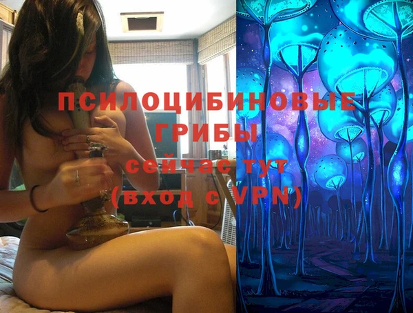 дживик Армянск