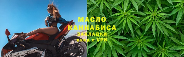 гидра Арсеньев