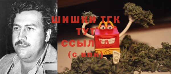 мяу мяу мука Аркадак