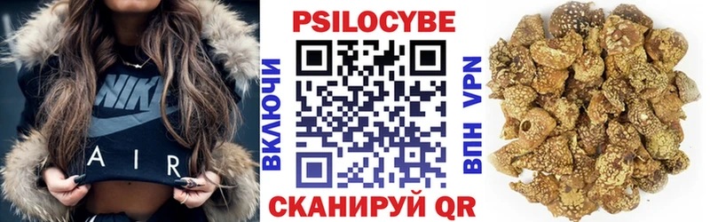хочу   Светлоград  Галлюциногенные грибы Magic Shrooms 