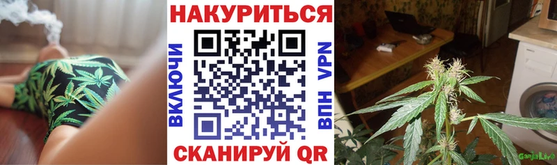 купить наркоту  Светлоград  Конопля SATIVA & INDICA 